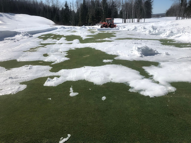 Ice melting on the 14 green.
