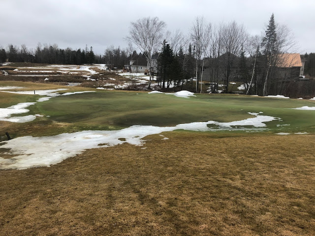 Snow melting on the 11 green. There is black sand being used to melt the ice.
