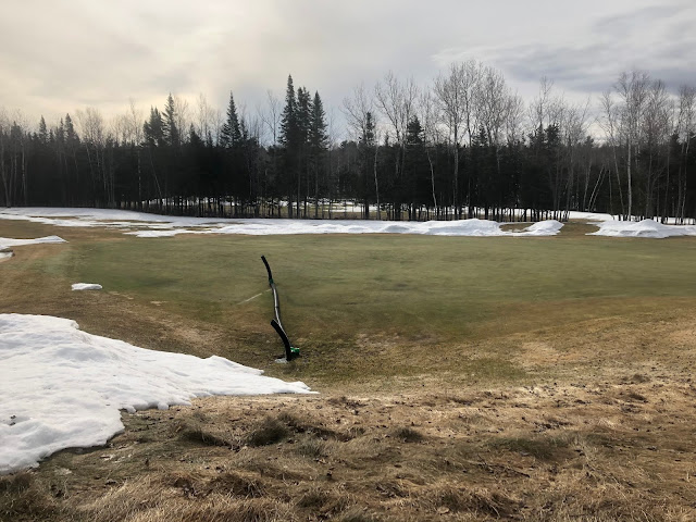 Snow melting on the 16 green.