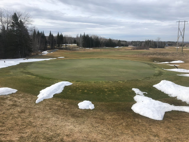 Snow melting on the 8 green.