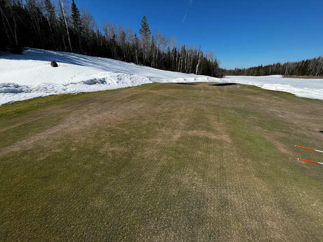 The number 13 green coming out of dormancy.