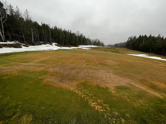 A number 12 green with water damage and ATV tracks.
