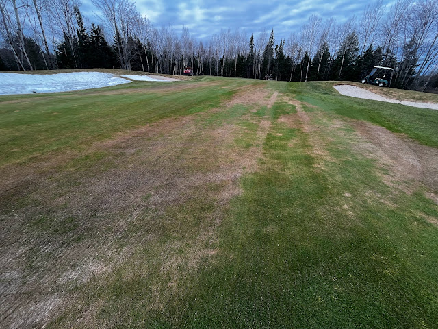 The number 7 green showing signs of damage.
