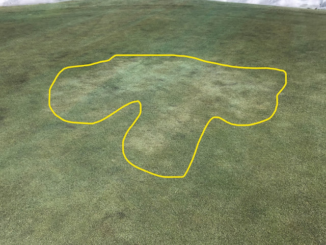 An outline of the number 17 green showing where small patches of ice damage occurred. 