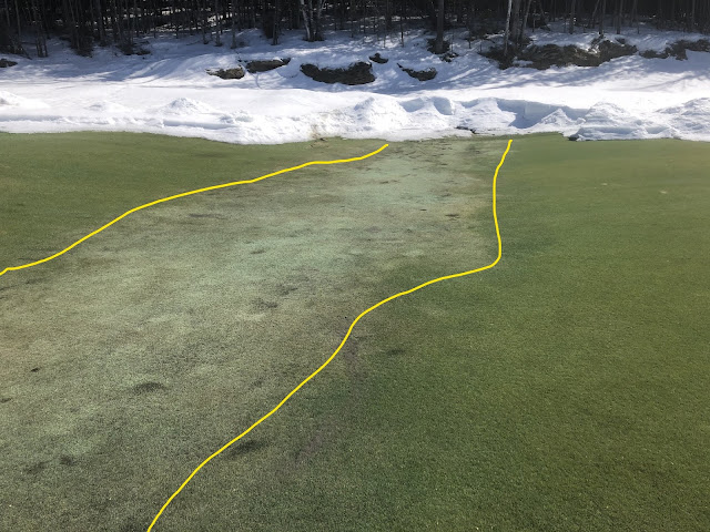 An outlined version of the 12 green, showing the area of the turf that is in trouble.